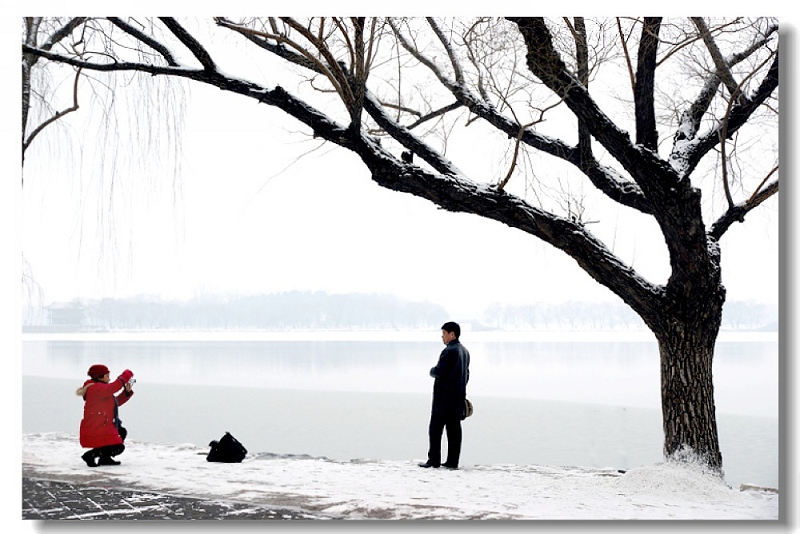 今冬的雪 摄影 小河弯弯