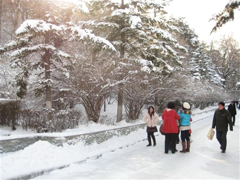 赏雪 摄影 LN寒冷