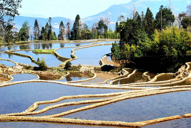 09元阳梯田（4） 摄影 南岸居士