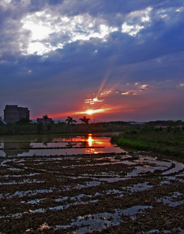 夕阳红 摄影 yuyun