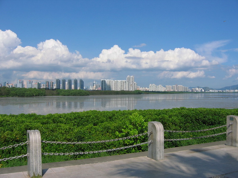 美丽深圳 摄影 雨中的脚印