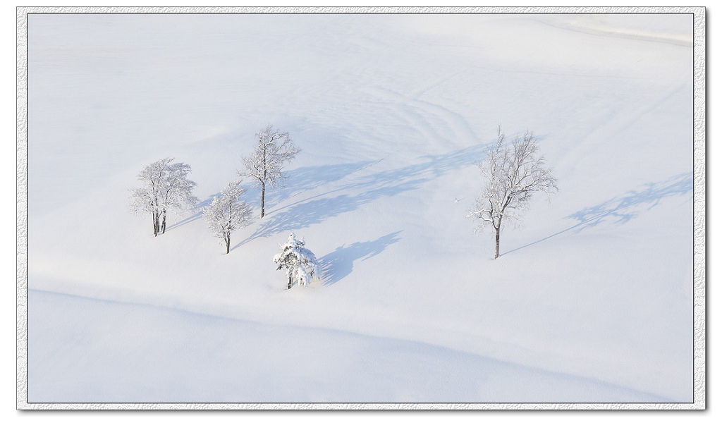 雪景-5 摄影 艺夫