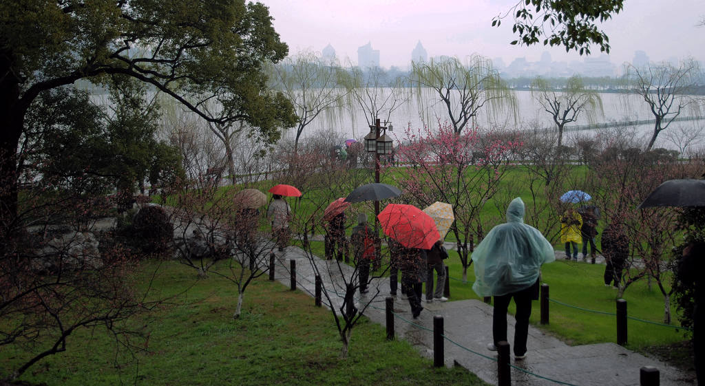 雨中西湖《二》 摄影 小豆芽J