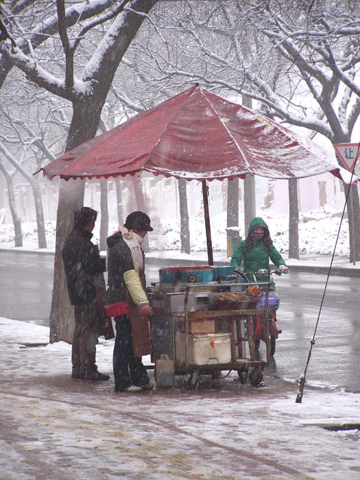 风雪夫妻 摄影 红岩上