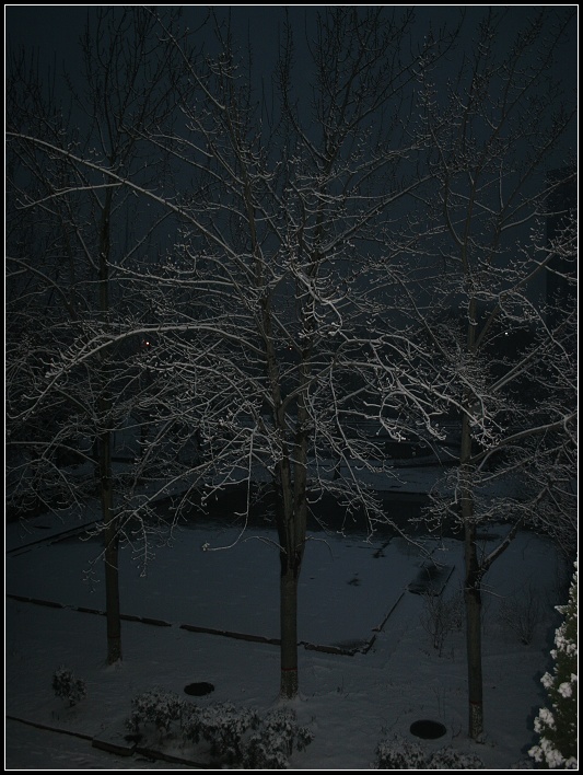 任丘的雪夜 摄影 灰脸