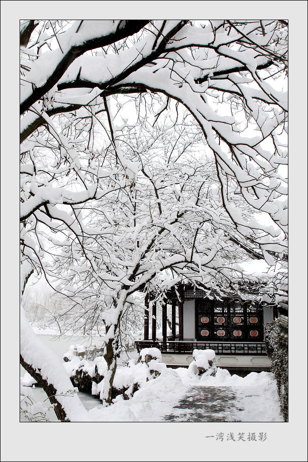 雪后瘦西湖 摄影 一湾浅笑