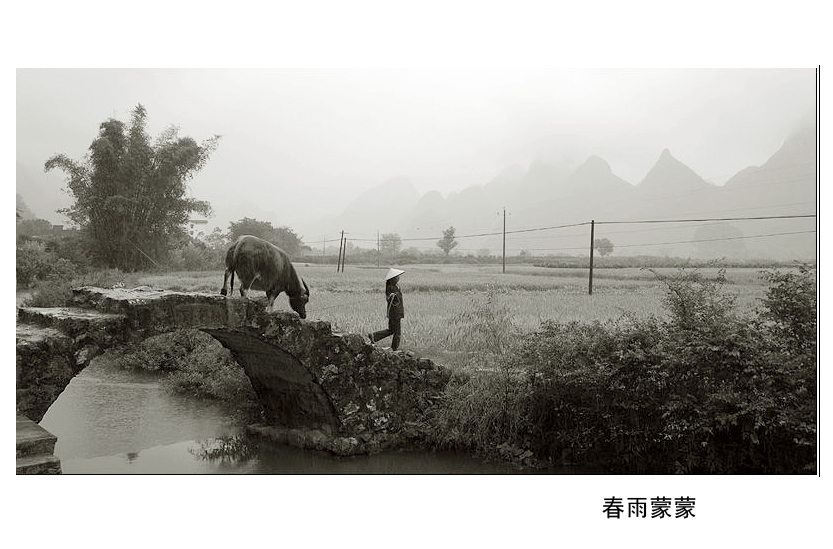 春雨蒙蒙 摄影 雨亦奇