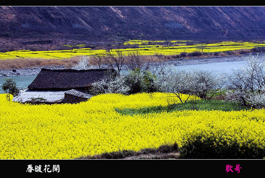 春暖花开 摄影 欢哥