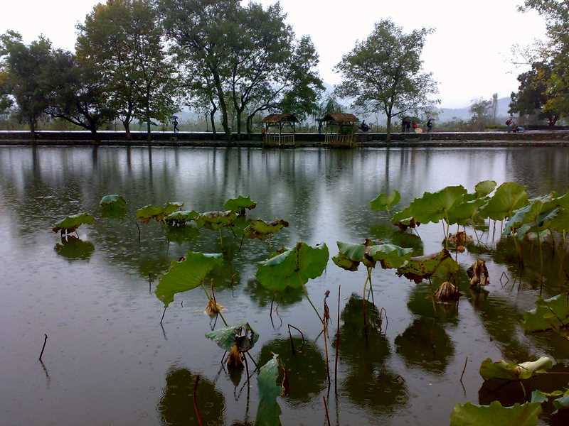 雨打殘荷＼宏村 摄影 难得胡涂