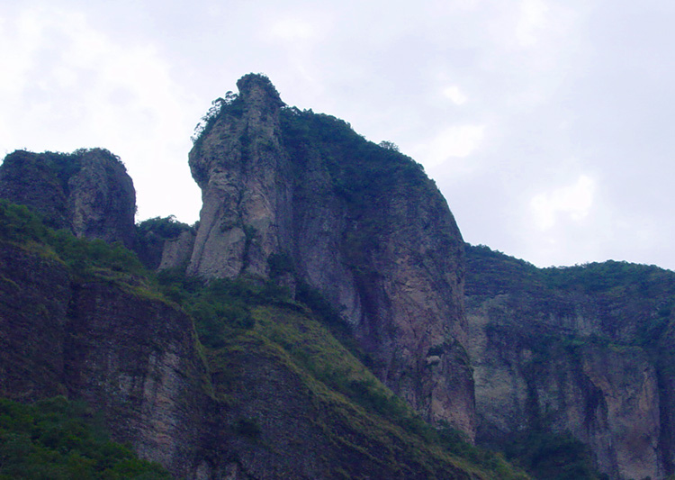 大象上山 摄影 morningtigr