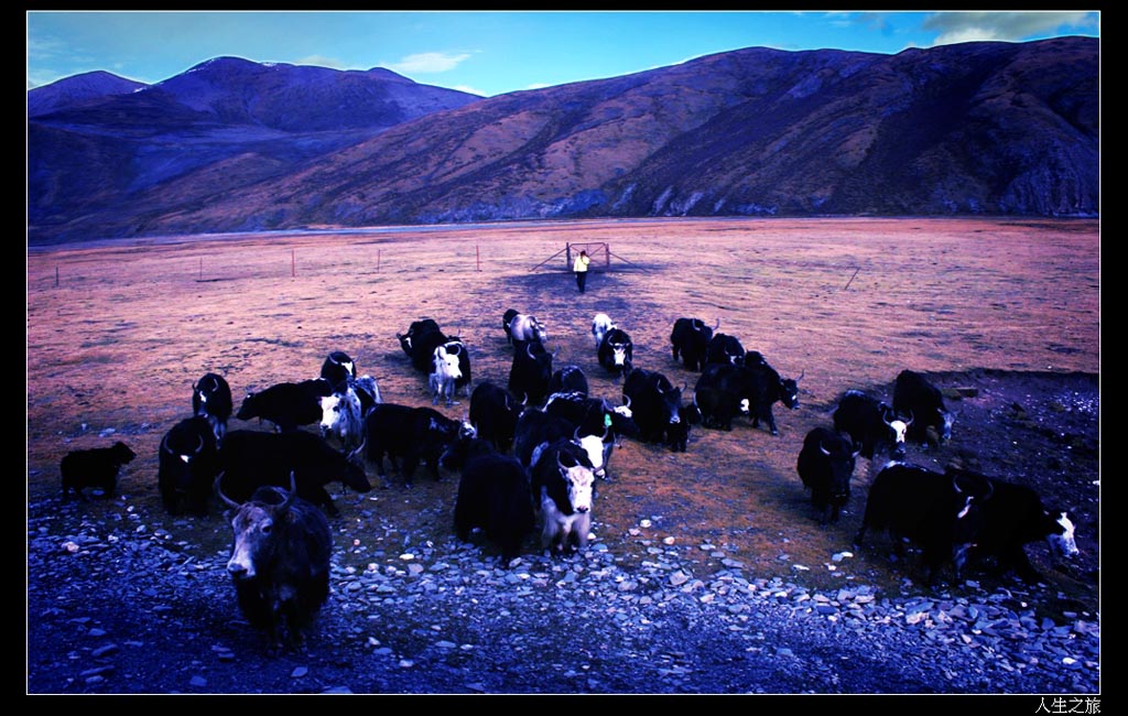 牧归 摄影 人生之旅