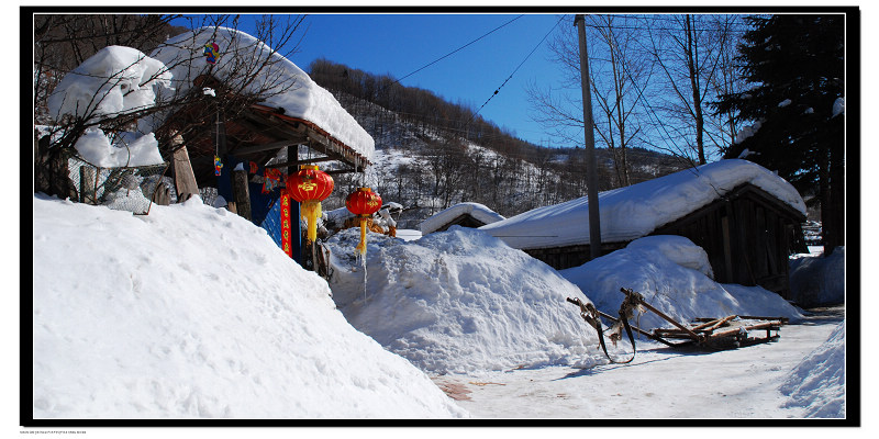 印象八里坡 摄影 雪中飞