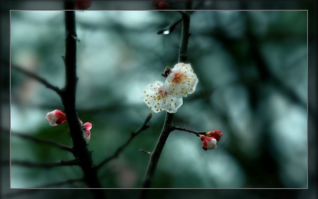 雨梅 摄影 打渔人