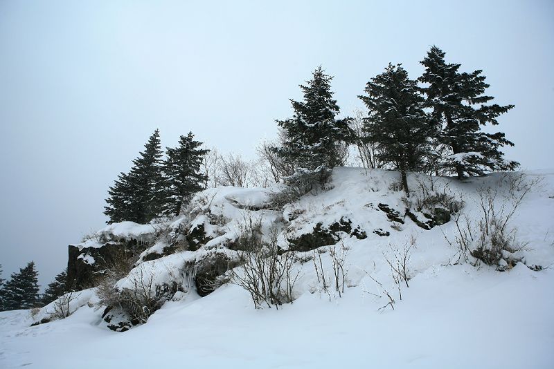 关东松雪图 摄影 鹤天