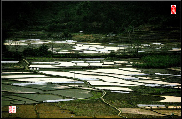 大地春回 摄影 吉丙君