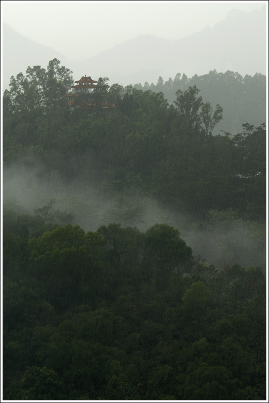 2009年深圳的第一场雨 摄影 小藏驹