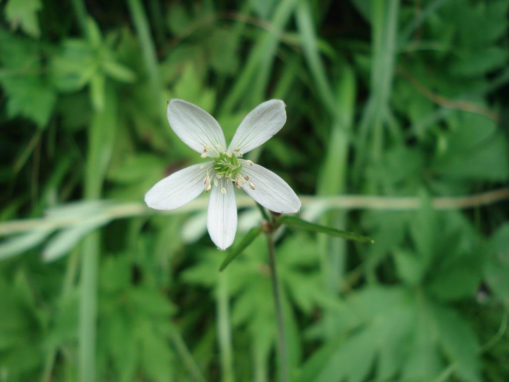 孤芳自赏 摄影 无忧男士