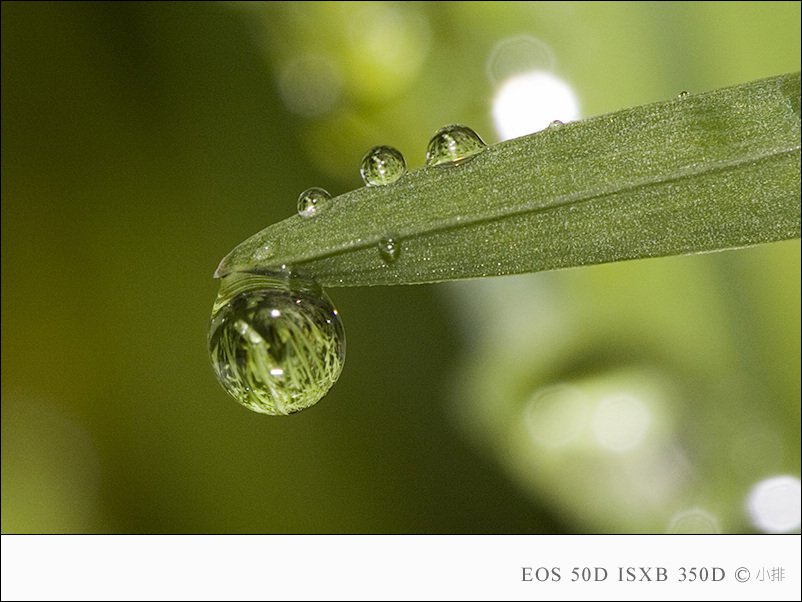 雨后水世界 摄影 小排