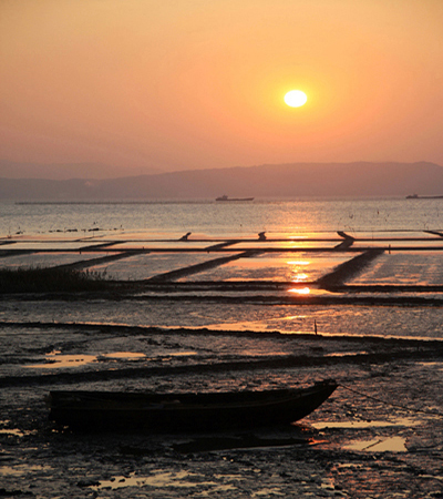 夕阳红 摄影 静观沉浮