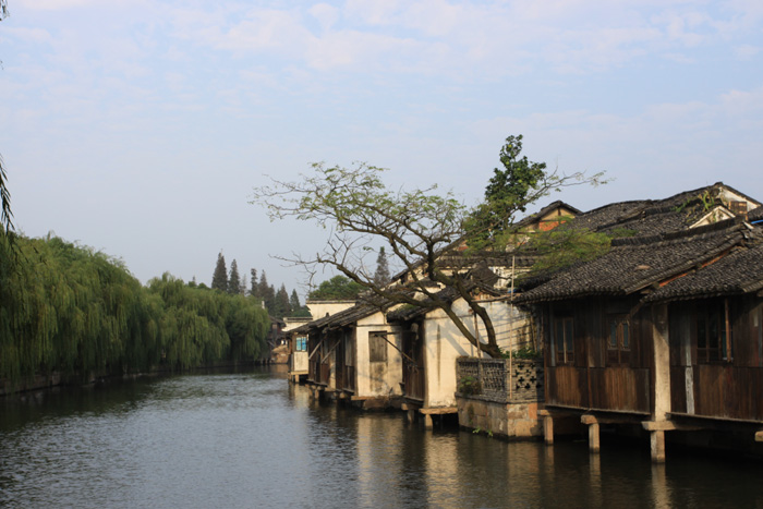 水乡小景 摄影 牛耕两三亩