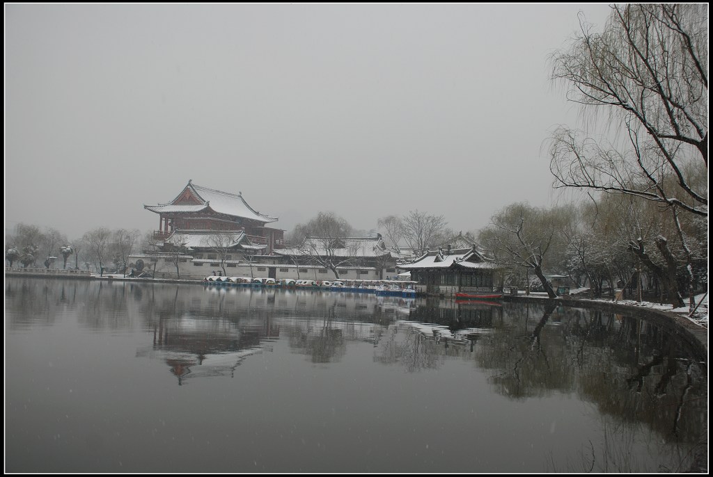 兴庆宫 雪 摄影 阳光灿烂中