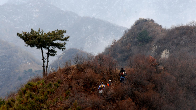 秦岭初春（一） 摄影 秦岭骆驼