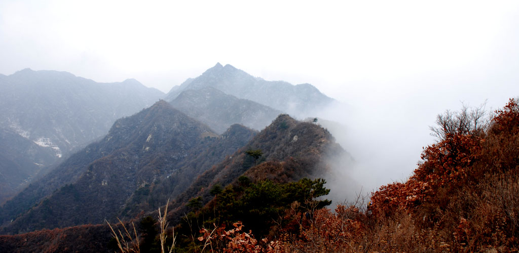 秦岭初春（二） 摄影 秦岭骆驼