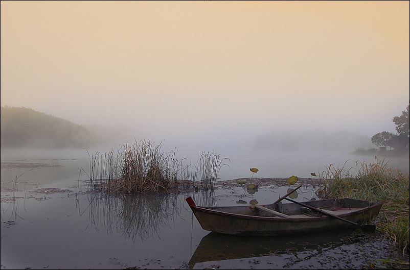 Fog 摄影 趙鎭順