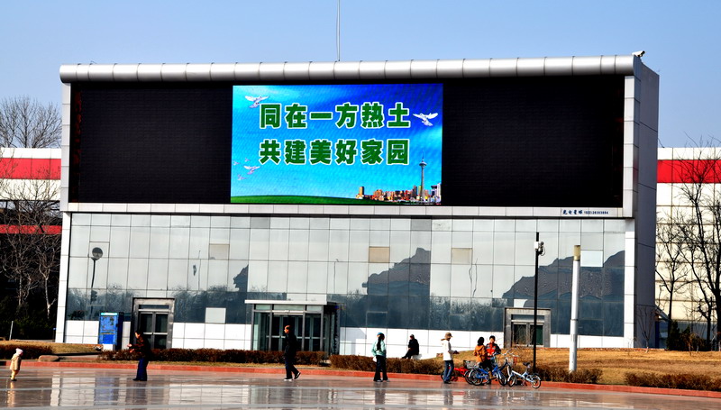 大港广场随拍 摄影 渤海红柳