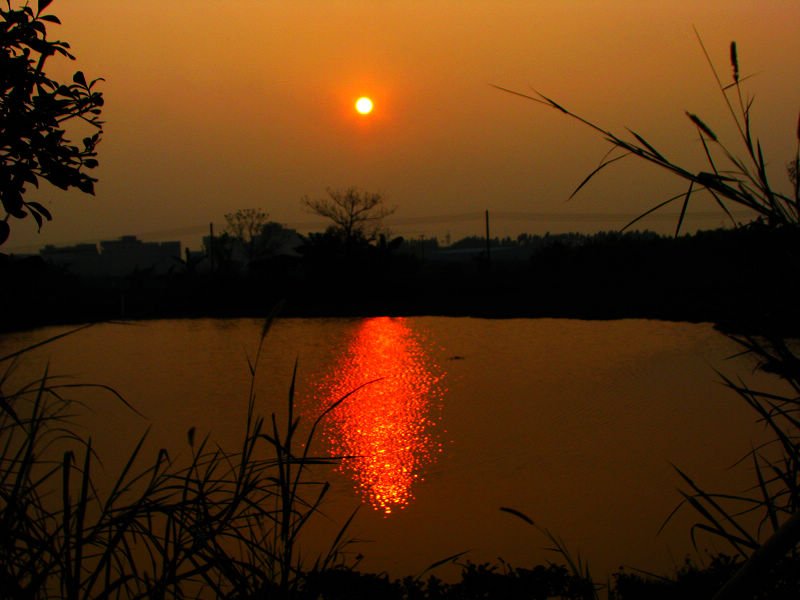 还是那个夕阳 摄影 天使之吻