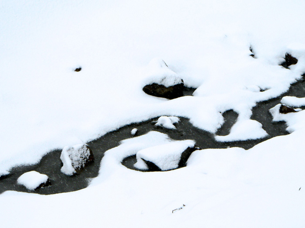 雪 摄影 车向前