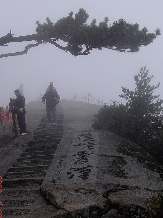 莲峰霄汉 摄影 蒿子