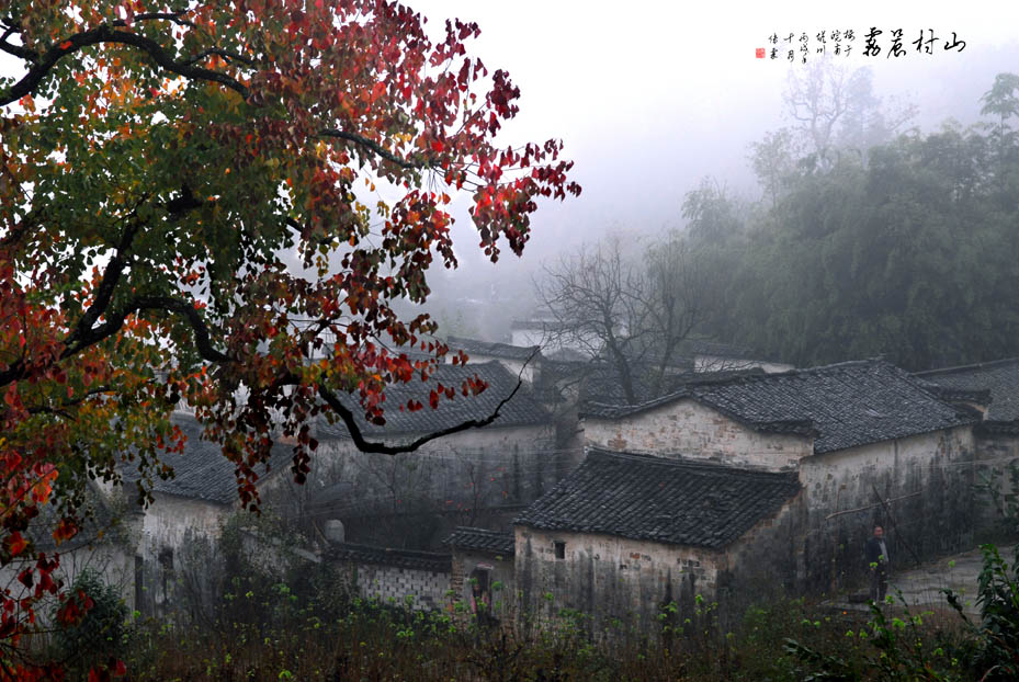 山村晨雾 摄影 林雨