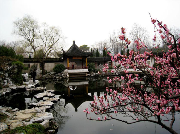 这边风景独好(二) 摄影 心雨心雨