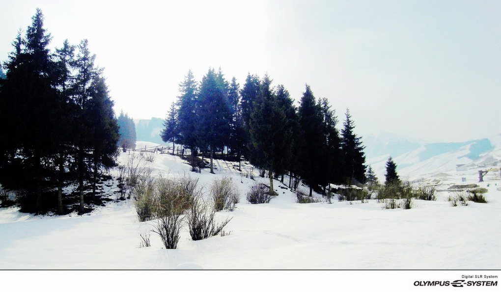 雪域高原 摄影 茹枫