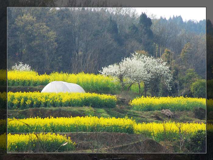 季节的轮回 摄影 四川行者