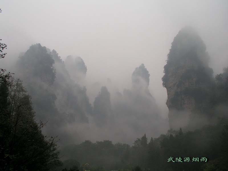 武陵源烟雨 摄影 苏小舟