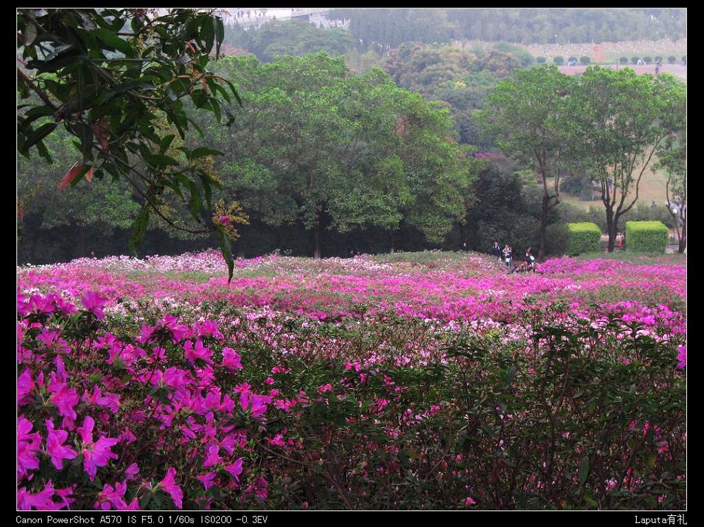 花花世界 摄影 123红绿灯