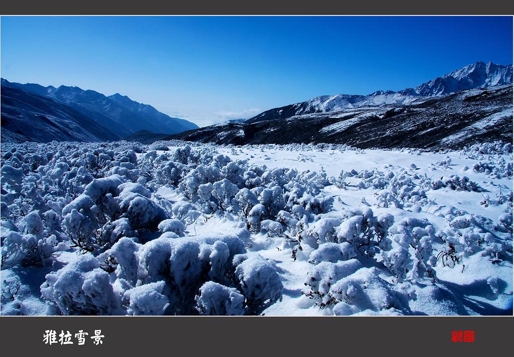 雅拉雪景 摄影 欢哥