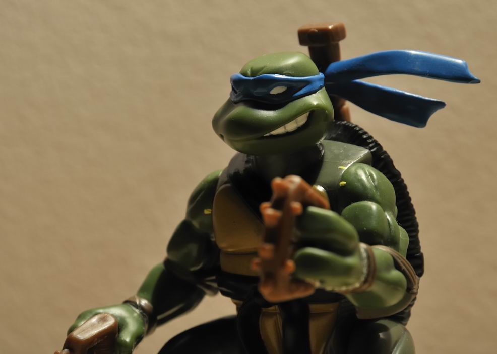 TMNT 摄影 fvvv