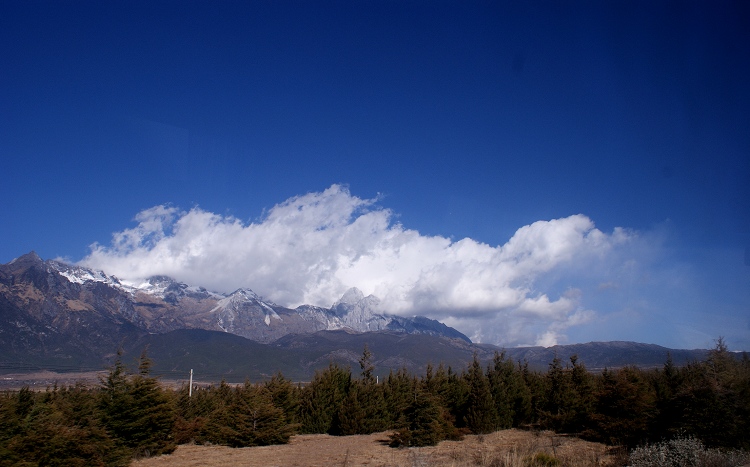 亲近玉龙雪山 摄影 蓝心鱼