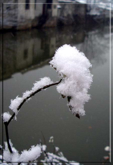 雪 摄影 jiy