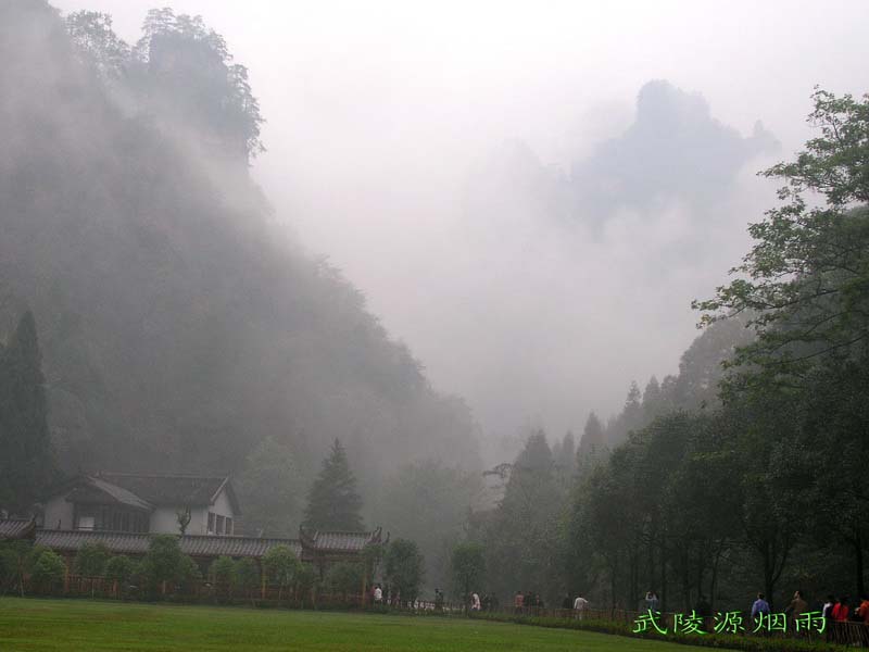 武陵源烟雨 摄影 苏小舟