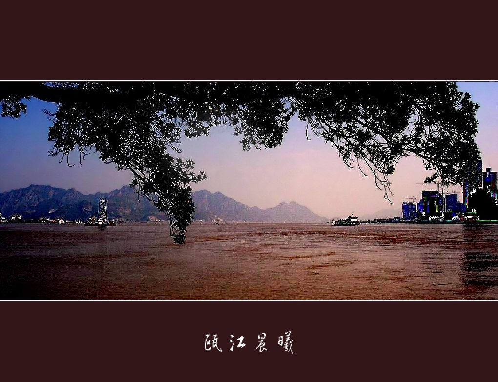 瓯江晨曦 摄影 连队