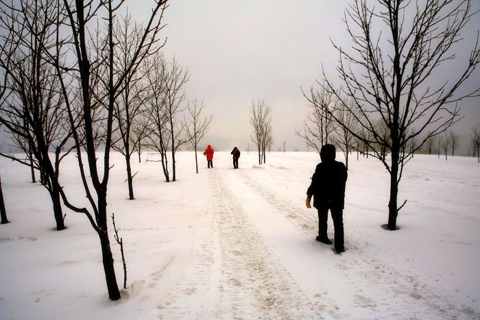 己丑踏雪图2 摄影 鹤天