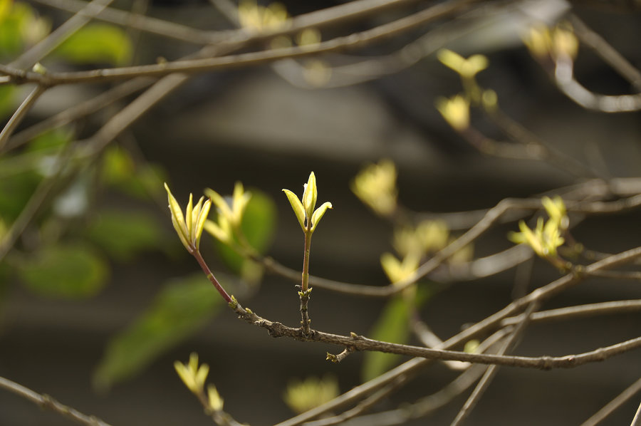 光芒 摄影 奭飒风肜