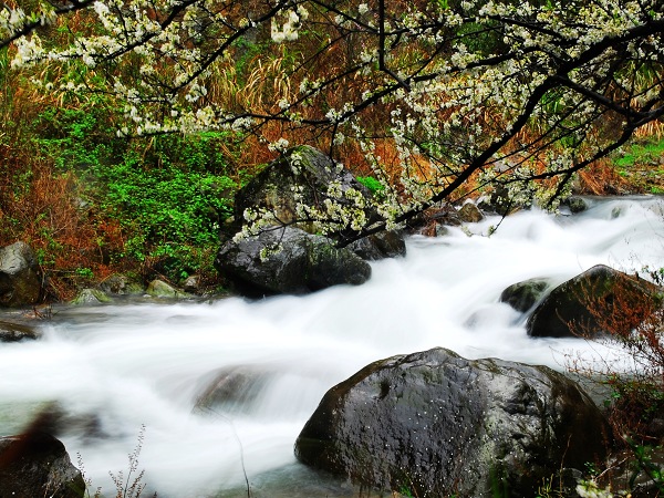 落花流水 摄影 烂柯山