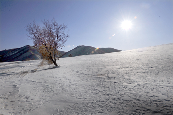 雪 摄影 周伟民