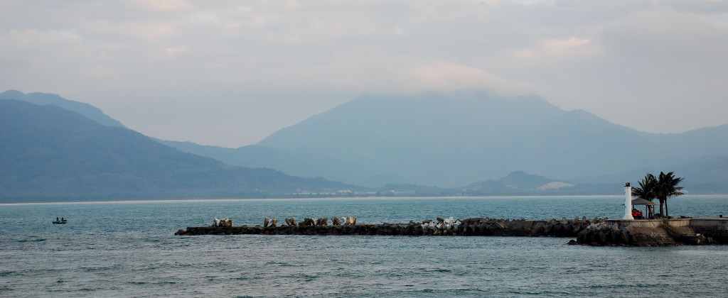 探海 摄影 山雀