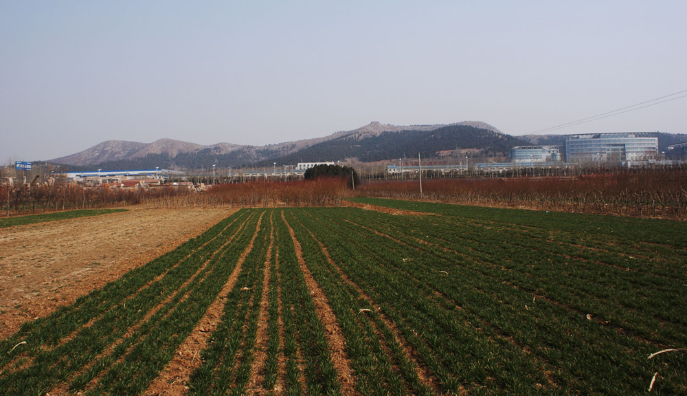 田园春色 摄影 山连海